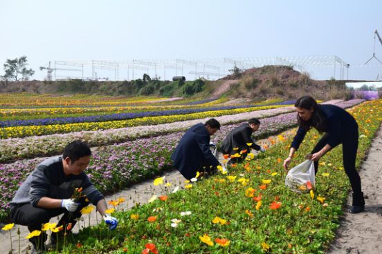 欧亿平台·(中国区)官方网站