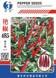 科光种苗“艳椒485”辣椒、“秋实1号”甘蓝划分入选2025年农业主导品种、农作物优良品种推广目录
